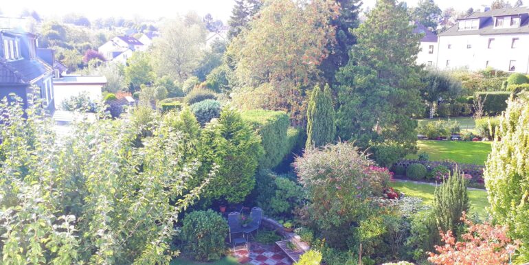 Ausblick DG