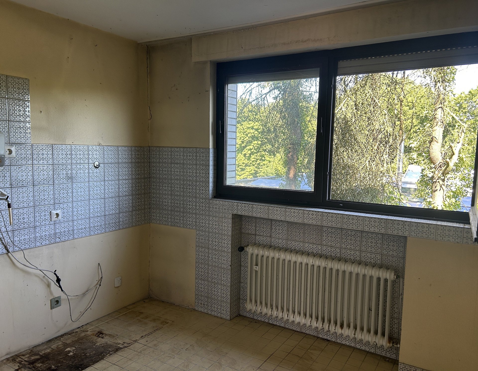 Foto der Immobilie (43905)