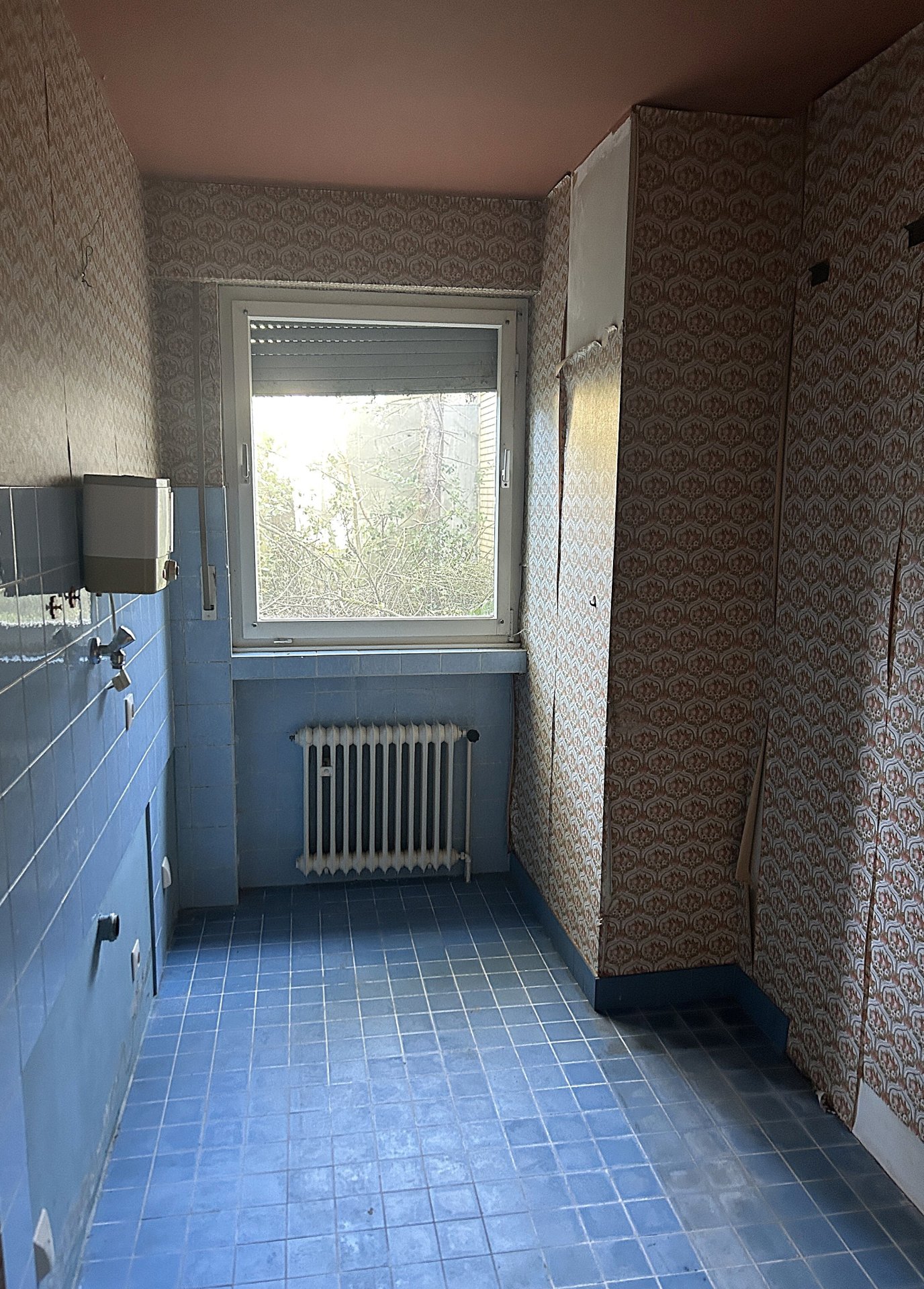 Foto der Immobilie (43907)